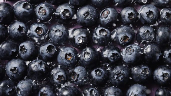 蓝莓水果广告素材
