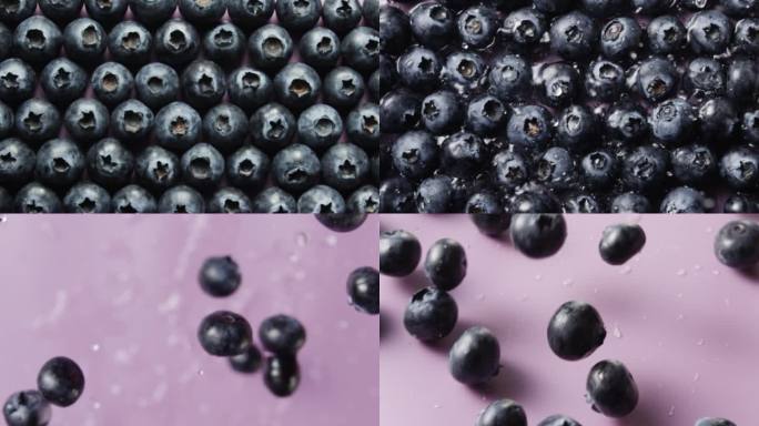 蓝莓水果广告素材