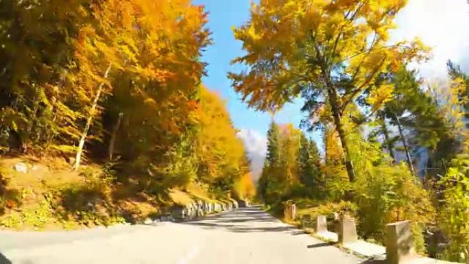 在风景秀丽的山路上行驶，穿过秋天的森林
