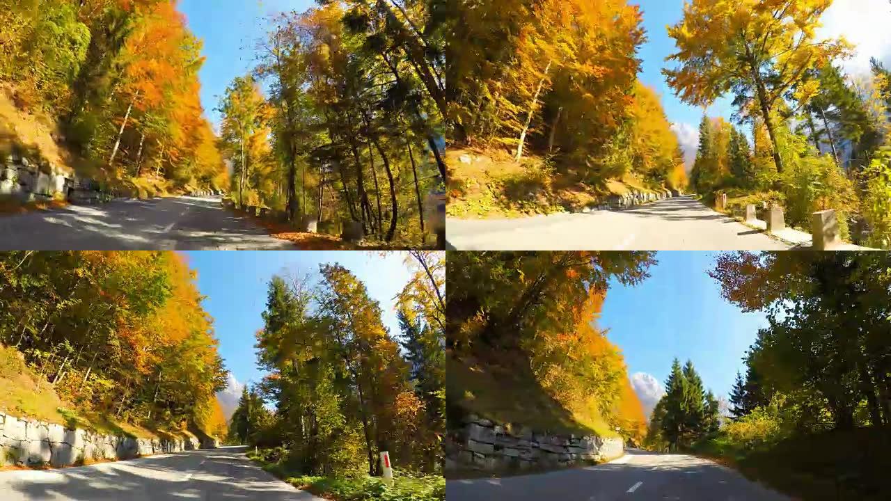 在风景秀丽的山路上行驶，穿过秋天的森林