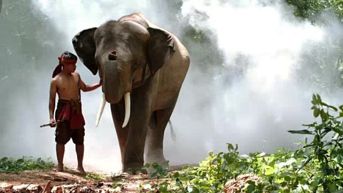 年轻人与可爱的大象同行。