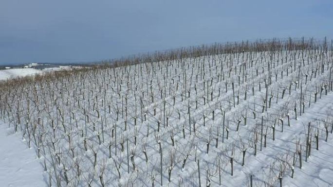 雪地里的田园风光