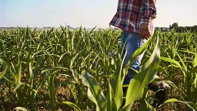 穿着格子衬衫走在田野里的SLO MO Farmer