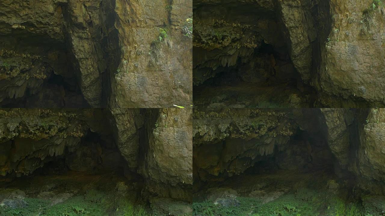 山中洞穴山中洞穴