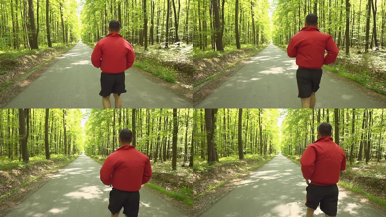 高清超级慢动作: 沿着林道奔跑