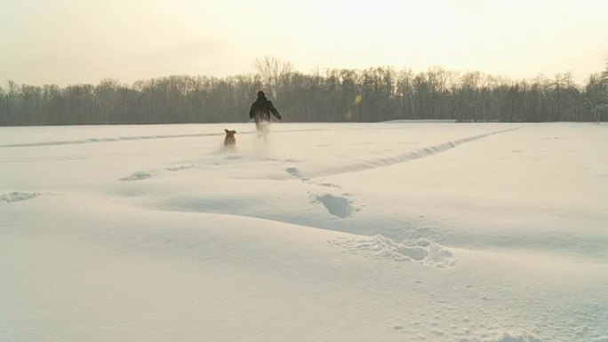 高清慢动作: 人与狗在深雪中奔跑