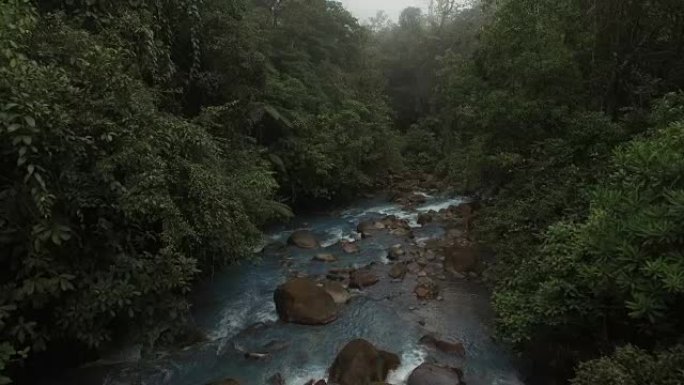 空中里约·塞莱斯特 (Rio Celeste) 与周围的雨林在雾中