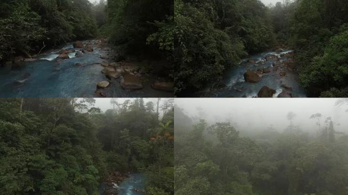 空中里约·塞莱斯特 (Rio Celeste) 与周围的雨林在雾中