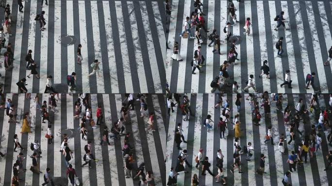 在人行横道上行走的人的高角度/自上而下拍摄。人行横道上挤满了人的大城市。