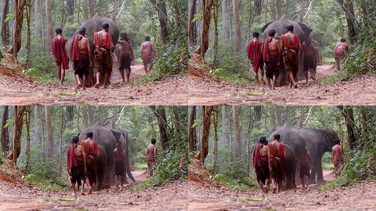 集体男子与可爱的大象同行。