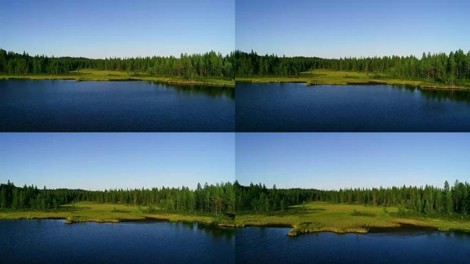 芬兰阳光明媚的夏日，蓝湖和绿色森林的鸟瞰图。