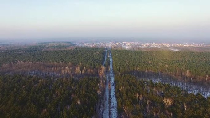 冬季落叶森林的鸟瞰图。积雪铺在地面上