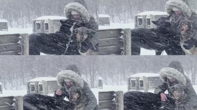 LS女人抚摸雪橇犬