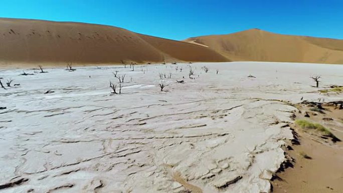 赫利枪杀了死者Vlei