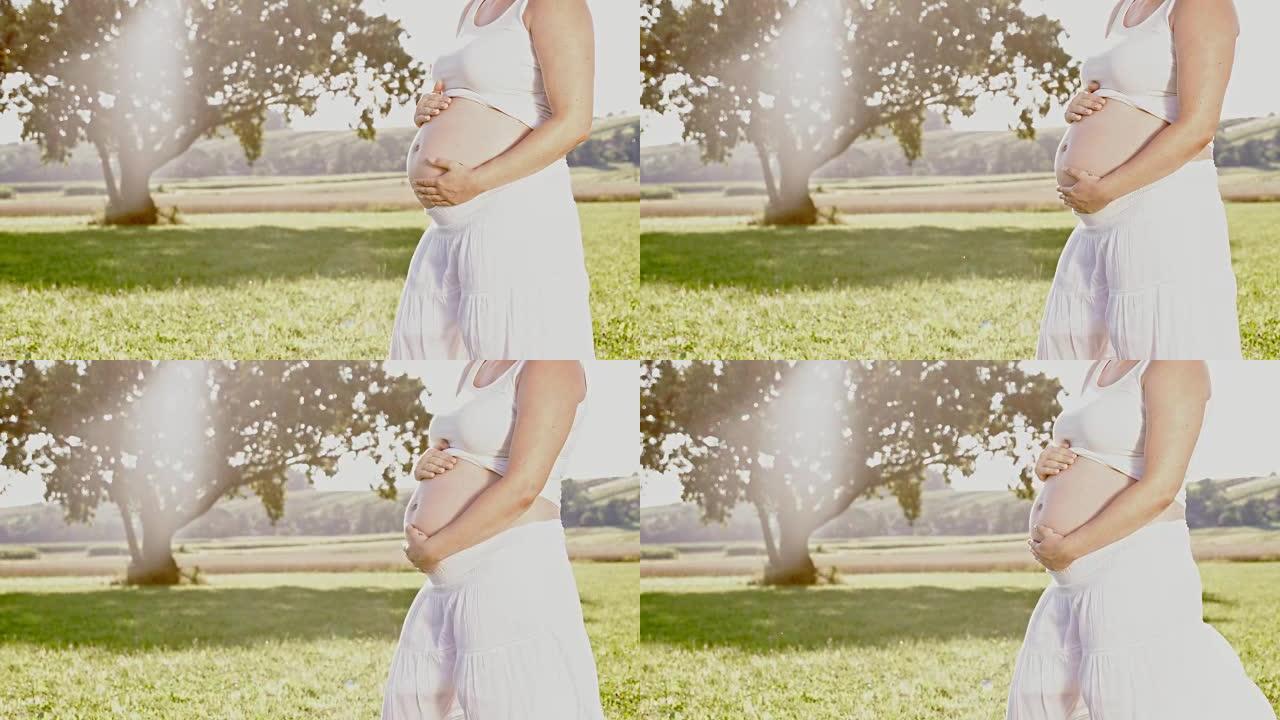 DS无法识别的孕妇在草地上抱着肚子