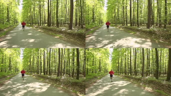 高清超慢动作: 沿着林道慢跑