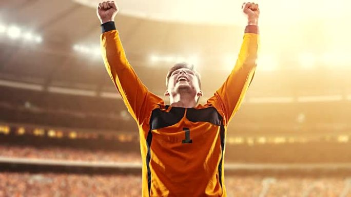 守门员庆祝胜利，并在职业体育场上快乐地举起手臂，而阳光普照