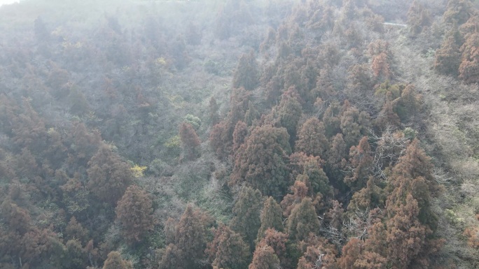 衡山高清航拍