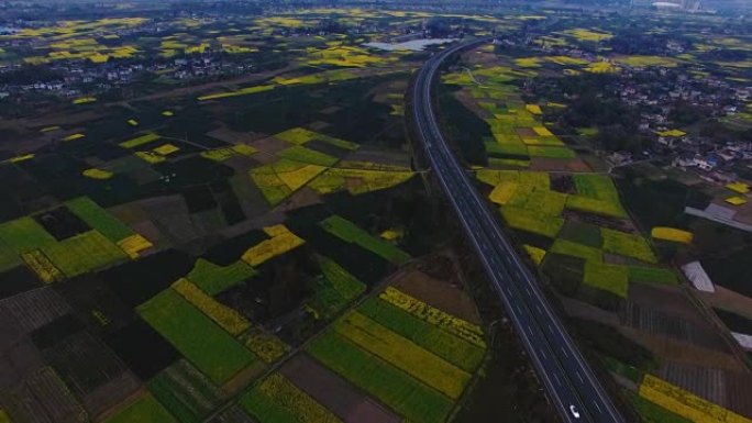 中国菜子花春季乡村鸟瞰图