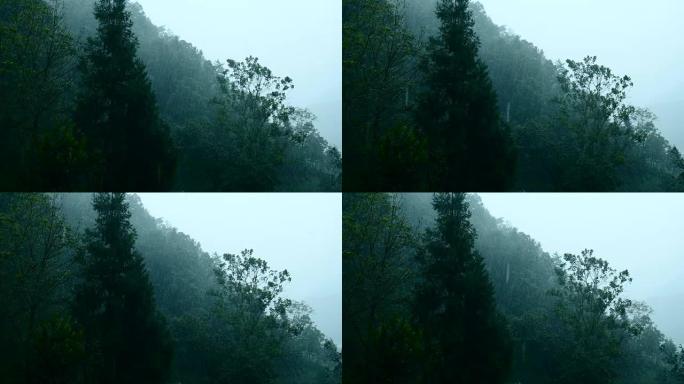 山区大雨暴雨山林绿化