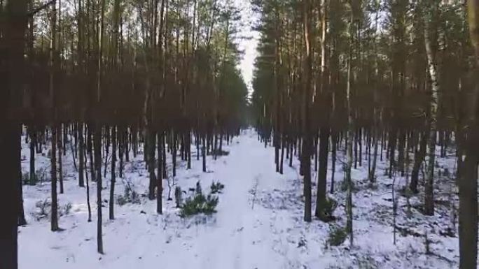 冬季白雪皑皑森林的高角度视图。积雪铺在地面上