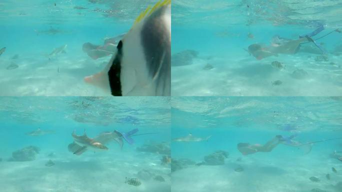 水下年轻女性旅行者与黑鳍鲨一起在翡翠海洋中潜水
