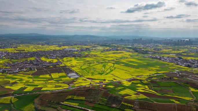 2023汉中油菜花节宣传延时航拍片段