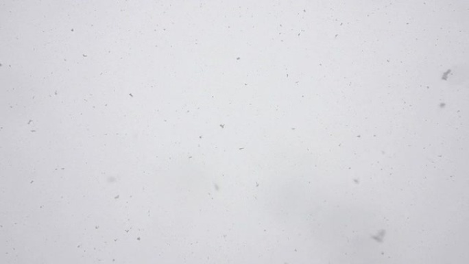 雪花飘落在相机上冬天