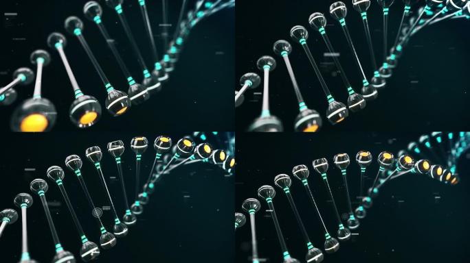 技术DNA脱氧核糖核酸dha分子序列遗传