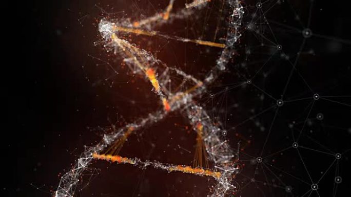 DNA细节螺旋染色体遗传物质