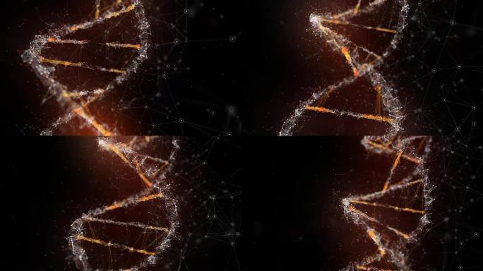 DNA细节螺旋染色体遗传物质