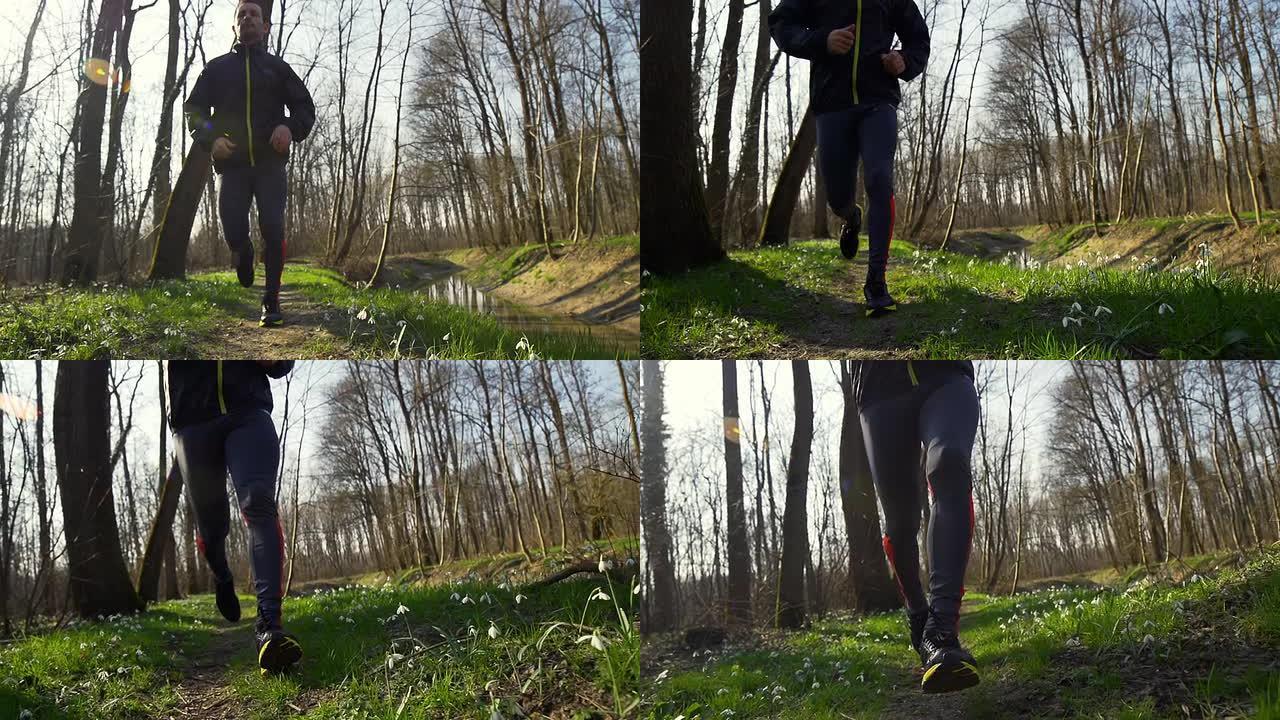 高清超级慢动作: 森林里的慢跑者