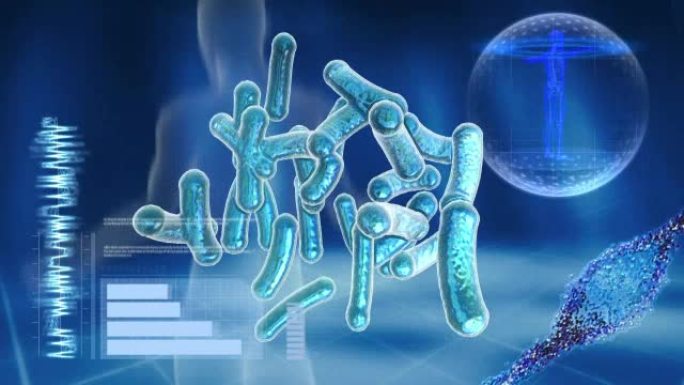 电脑屏幕上的细菌和DNA分子。