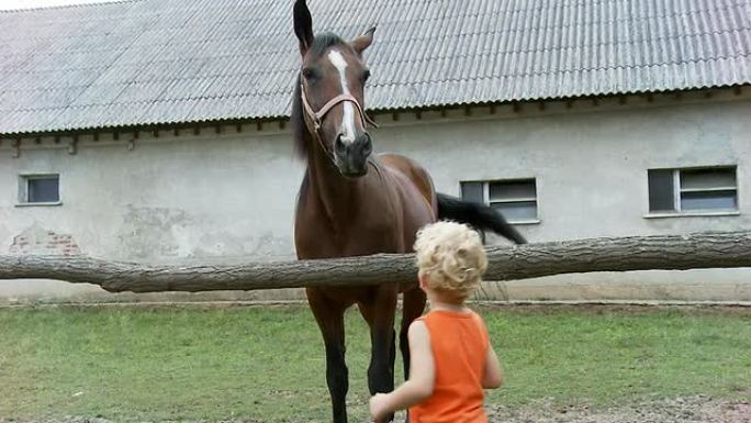 HD：有马的小男孩