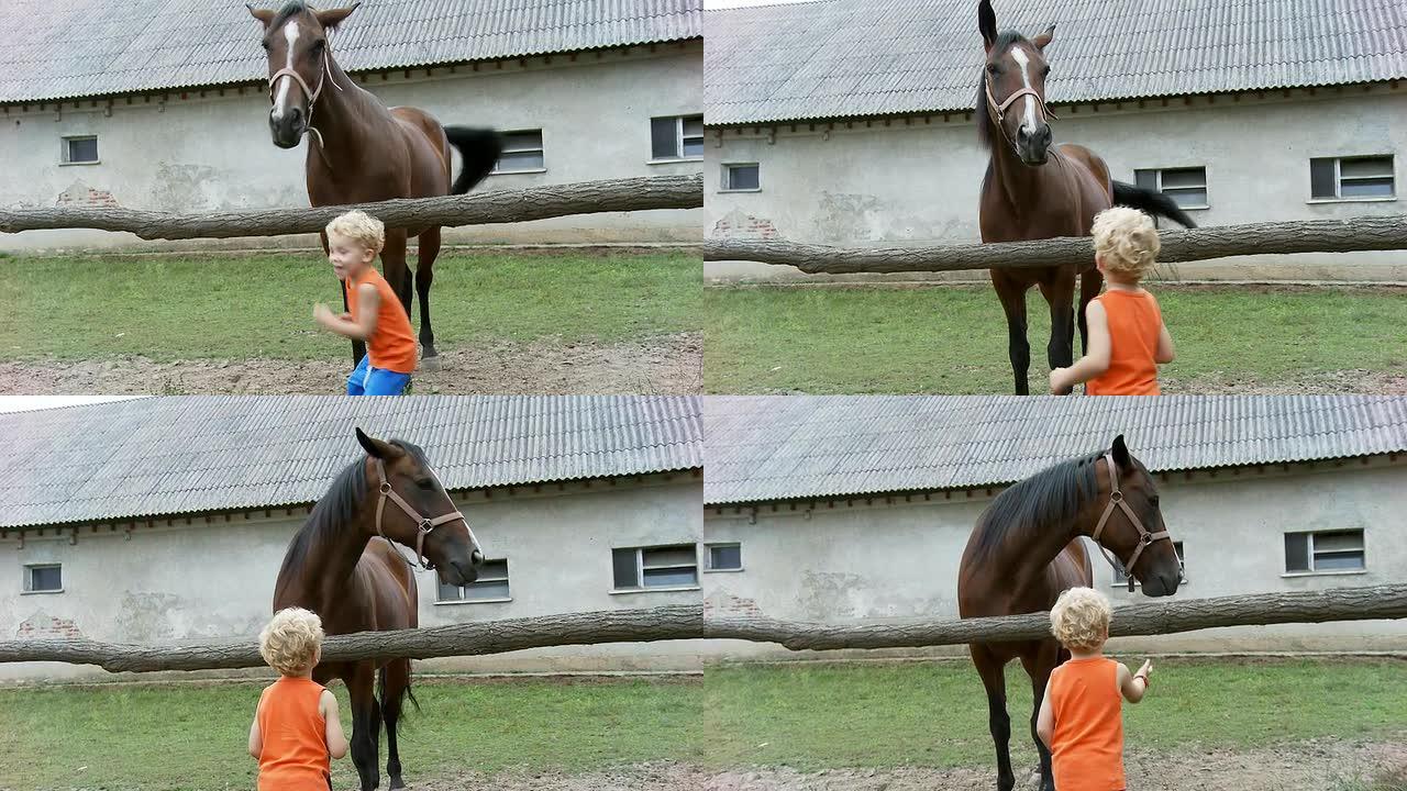 HD：有马的小男孩