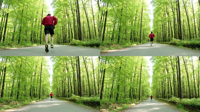 高清起重机: 在森林中慢跑