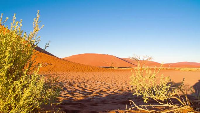 游客探索纳米比亚沙漠