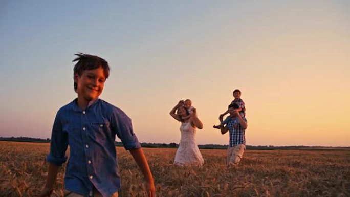 日落时分，可爱的一家人在麦田里散步
