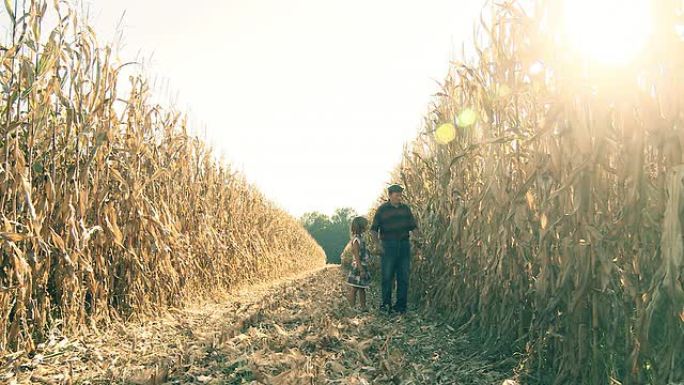 HD DOLLY：农民带着孩子在玉米地里散步