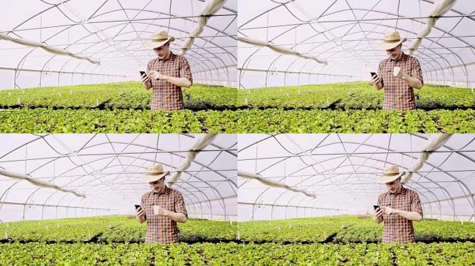 DS WS欣喜若狂的园丁在温室中使用智能手机