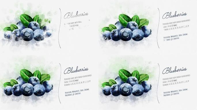 蓝莓的有用特性浅色模板简介模板图文模板