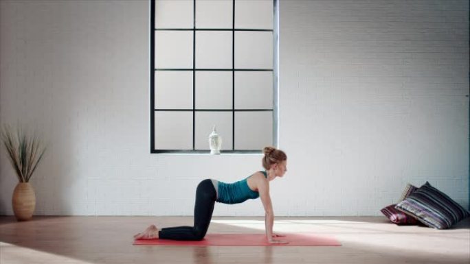 女人在健身房练习瑜伽 (猫姿势)