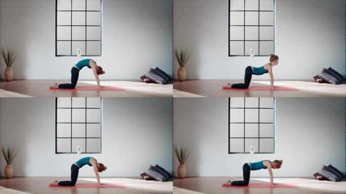 女人在健身房练习瑜伽 (猫姿势)