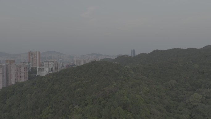 LOG格式航拍香港宝马山红香炉峰