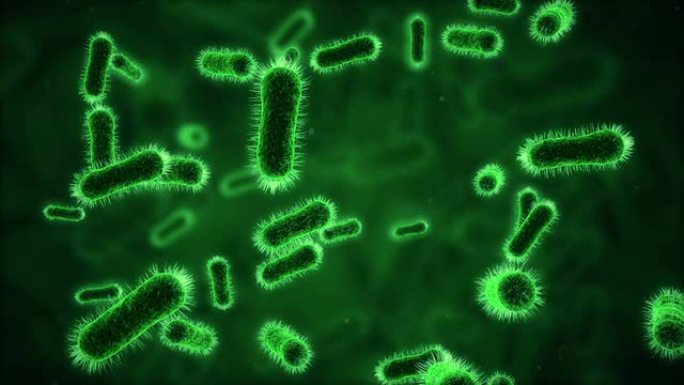 显微镜下的细菌绿色
