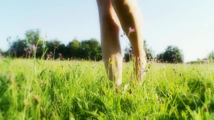 HD：女人的脚在草地上行走