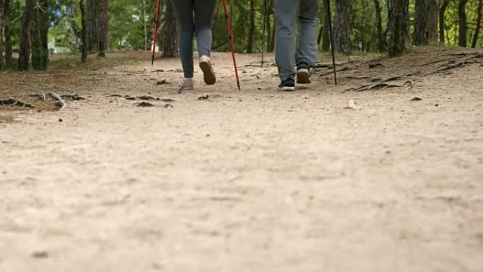 在公园里徒步旅行的民意测验中无法识别的老年人