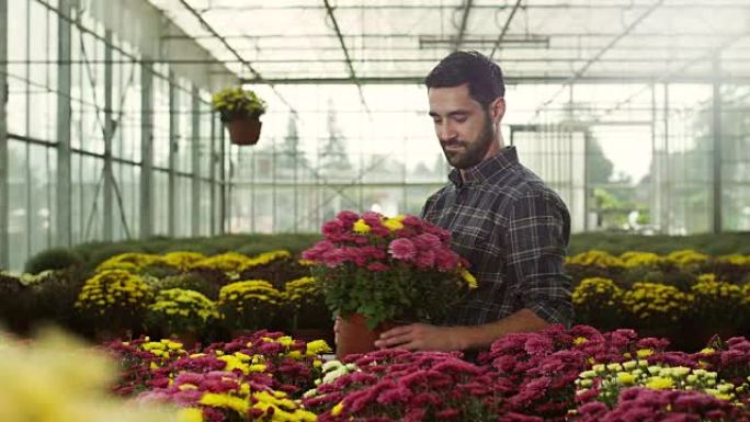 温室的男性花店园艺工作者打理花草