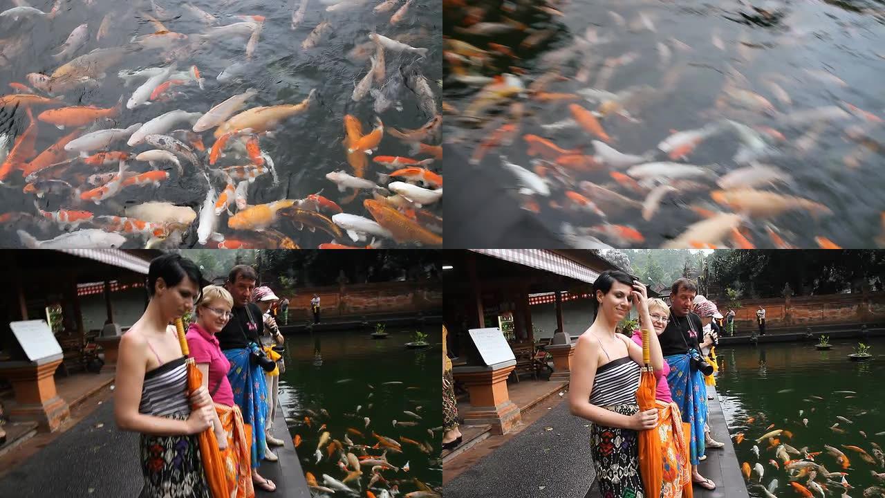 WS游客在满是鱼的神圣池塘旁