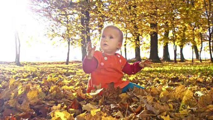 SLO MO Baby在公园享受秋天